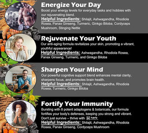 Supplément organique de <span class=keywords><strong>Shilajit</strong></span> de l'Himalaya Résine Minéraux Extrait d'Acide Fulvique Capsule de <span class=keywords><strong>Shilajit</strong></span> pour Hommes Femmes Énergie de Soutien Immunitaire - Product Image 4