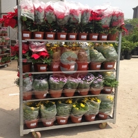 Chariot à plantes hollandais CC, seau à fleurs danois, conteneur à roulettes, pot