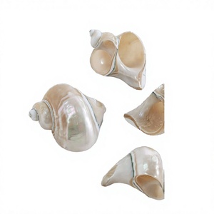 Porte-serviettes en coquillages naturels, accessoire de décoration de table pour maison de plage, restaurant, hôtel, complexe hôtelier et boutique de cadeaux - Product Image 1