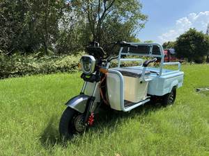 Tricycle cargo électrique pour personnes âgées, conforme aux normes nationales, avec <span class=keywords><strong>plaque</strong></span> d'<span class=keywords><strong>immatriculation</strong></span> transfrontalière - Product Image 1