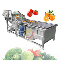Industriële Verse Groente Fruit Reiniging Droogverwerking Machines Droogdata Wasmachine Te Koop