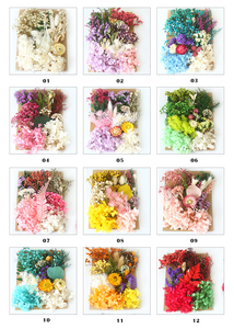 Fleurs et feuillage séchés, hortensias et gypsophile préservés pour la fabrication de bougies, la fabrication de savons et le nail art - Product Image 6