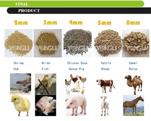 Presse à granulés d'aliments à haute efficacité, production de 1 à 10 t/h avec faible <span class=keywords><strong>consommation</strong></span> d'énergie - Product Image 6