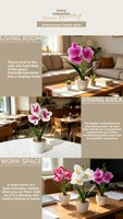 Bunga Anggrek Phalaenopsis Buatan Qiying Victory 700-mm Pot Pasir Halus Tiga Bunga Batang Realistis Bahan PVC Ruang Tamu