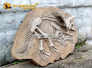 Decoración <span class=keywords><strong>de</strong></span> Pared con Temática Jurásica <span class=keywords><strong>de</strong></span> Dinosaurios, Panel Fossilizado <span class=keywords><strong>de</strong></span> Triceratops - Product Image 5