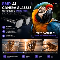 Lunettes Intelligentes IA W630T à Succès : Double Microphone ENC, Réduction du Bruit, Anti-Interférence, Caméra IA, Traduction