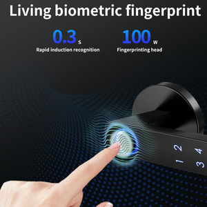 Serrure de porte biométrique à empreintes digitales BS19, design moderne, code PIN numérique, poignée de porte intelligente - Product Image 2