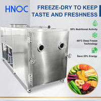 Lyophilisateur Commercial HNOC pour Cacao, Machine de Lyophilisation Automatique Sous Vide pour Café Instantané
