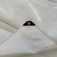 Bâche robuste en PE laminé blanc, imperméable, bleue, pour camping, protection solaire, enroulable, avec bords renforcés, pour garçons