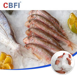 8 Tonnen industrielle Meersalz Wasser Flocke Eismaschine Maschine Schneeflocke Eis Herstellung Flocke Eismaschine Preis für Fisch Meeres früchte Markt - Product Image 5