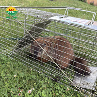 Piège à animaux vivants en acier galvanisé avec trous carrés pour attraper et libérer les chats sauvages, les ratons laveurs, les opossums, lutte antiparasitaire