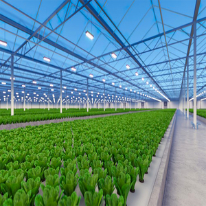 Grande serre agricole multi-chapelles en polycarbonate, galvanisée à chaud, haute résistance, robuste et résistante au vent - Product Image 3