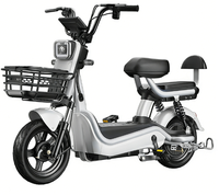 Kotak Baterai Portabel 48V 350W Pengontrol Cerdas Sepeda Listrik 3 Kecepatan Pabrik Cina Sepeda Listrik Dewasa Murah Ebike