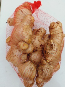 Jahe Segar China Laris Manis 100g 150g 150-250g 250g Ke Atas Jahe Segar untuk Dubai - Product Image 6