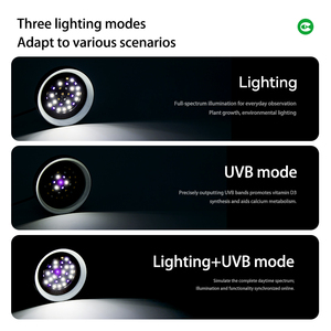 Lampada Solare Ecologica CLEEN per Rettili con Timer, Luce UVB a Spettro Completo per Tartarughe, Lucertole, Gechi Leopardini e Terrari - Product Image 4