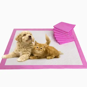 Orinal absorbente Biodegradable para mascotas, almohadillas de entrenamiento para cachorros y gatos, orinal para dormir