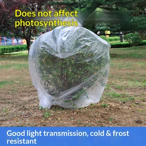 DaringFish Cubierta Aislante Transparente de PE a Prueba de Frío para Árboles Frutales, Plantas Verdes, Protección Invernal de Flores, Película Antiheladas - Product Image 6