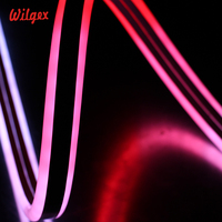 Meilleure Vente 11x24mm RVB 5050 Pixel SPI WS2811 DMX Programmable Double Côtés Conduit Néon Flex IP68 Pour La Décoration Intérieure Et Extérieure