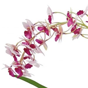 Orchidées papillon en soie écologiques, toucher réel, Phalaenopsis blanche, centre de table pour l'intérieur et l'extérieur - Product Image 3