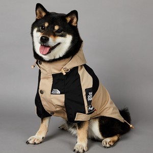 Impermeable para Perros Color Caqui, a la Moda, Resistente al Viento y a la Lluvia, Estilo Nuevo Tipo "<span class=keywords><strong>North</strong></span> <span class=keywords><strong>Face</strong></span>", Chaqueta para Perros Grandes - Product Image 1