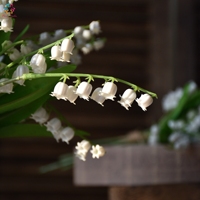 Buket Bunga Lily of the Valley Buatan, Bunga Palsu Realistis untuk Dekorasi Pernikahan, Rumah, Meja, Vas, dan Hiasan Bunga