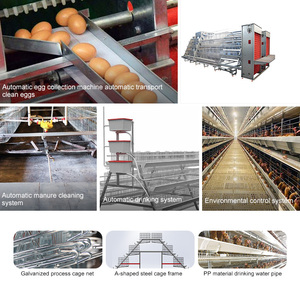 एक फ्रेम चिकन परत पिंजरे गैल्वेनाइज्ड स्टील पोल्ट्री बैटरी पिंजरे - Product Image 5