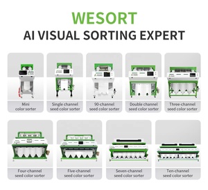 เครื่องคัดแยกและคัดแยกเมล็ดพริกแดงที่มีความแม่นยำ99.99% และเอาต์พุต2.4-5 t/h - Product Image 6