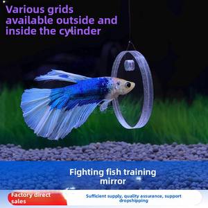 กระจกอะคริลิกสำหรับฝึก<span class=keywords><strong>ปลา</strong></span>แบบลูกบอลลอยกระจกสองด้านถังดูดตู้ปลาภายนอก - Product Image 4