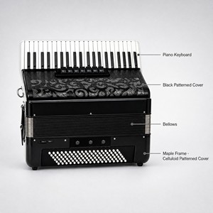 Accordéon Piano 41 Touches 120 Basses pour Organiste d'Église et <span class=keywords><strong>Professeur</strong></span>, Lames Italiennes, Modèle Stradella Complet, Musique Classique, Vente en Gros - Product Image 1