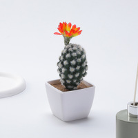 Tanaman Sukulen Buatan Rebutia Cantik yang Sedang Mekar, Pot Bonsai untuk Dekorasi Rumah, Pemotretan, dan Grosir