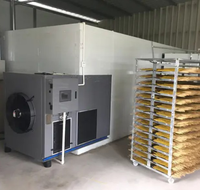 Industriële arbeidsbesparende automatische PLC-gestuurde mangodroogmachine met elektrische/gasverwarming 220/380V, lage investering, hoge winst, fruit.