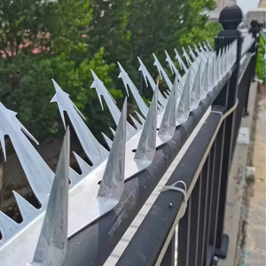 Pointe <span class=keywords><strong>de</strong></span> mur <span class=keywords><strong>de</strong></span> sécurité anti-escalade en acier galvanisé <span class=keywords><strong>de</strong></span> haute sécurité pour clôture <span class=keywords><strong>de</strong></span> maison - Product Image 5