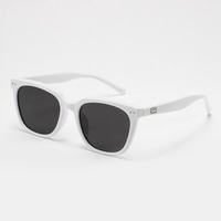 Nouvelles Lunettes de Soleil Carrées TR90 2025 pour Hommes et Femmes, Monture Légère et Flexible, Protection UV400, Style Designer Tendance, 3 Couleurs, OEM