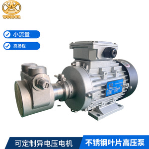 ปั๊มวอร์เท็กซ์ WUODOR รุ่น VPS-07-800 สแตนเลส 304 ปั๊มไฟฟ้าสำหรับน้ำมันร้อน ระยะส่ง 120 เมตร อัตราการไหล 1000 ลิตร/นาที - Product Image 2