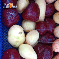 Machine à éplucher automatique, pomme de terre, légumes, ail, nettoyage, lavage