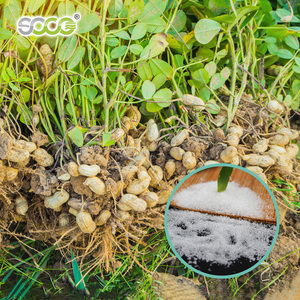 Poliacrilato de Potasio para Plantas Agrícolas, Polímero Súper Absorbente, Cristal de Savia, Hidrogel - Product Image 4