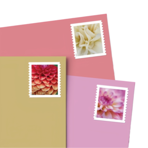 Sellos Postales <span class=keywords><strong>de</strong></span> Alta Calidad <span class=keywords><strong>de</strong></span> EE. UU., Diseño <span class=keywords><strong>de</strong></span> Flores Eternas, Álbum <span class=keywords><strong>de</strong></span> Sellos para Envíos, PVC Impermeable <span class=keywords><strong>de</strong></span> Secado Rápido, Conmemorativo - Product Image 6