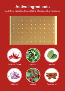 HODAF 2026 OEM Patch chauffant transdermique personnalisé à base de plantes de capsicum pour le soulagement de la douleur, à action longue durée avec menthol - Product Image 4