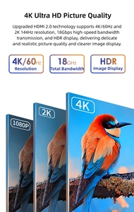 Cable <span class=keywords><strong>Mini</strong></span> <span class=keywords><strong>HDMI</strong></span> <span class=keywords><strong>a</strong></span> <span class=keywords><strong>HDMI</strong></span> 4K 60Hz con Conector Chapado en Oro para Monitor, Tablet, Cámara, HDTV - Product Image 2