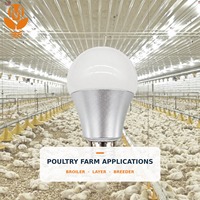Proveedor OEM ODM de Lámparas LED para Aves de Corral, Bombilla Regulable IP67 Sin Parpadeo para Granjas Avícolas, Proyectos de Pollos de Engorde, Ponedoras y Reproductoras
