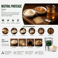 Protease neutre, proteinase neutre, enzyme protéolytique, enzyme de hydrolyse des protéines, préparation pour la fabrication industrielle
