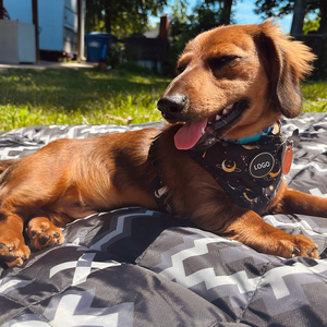 Arnés y Correa para Mascotas Reversibles con Logotipo Personalizado, Sin Tirones, Impresión OEM, Ajustable, Ligero, Juego de Arnés para Perro Celestial - Product Image 6