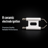 Électrode d'allumage en céramique d'alumine, allumeur à étincelle, type H, double électrode haute tension pour brûleur à gaz, chaudière, four