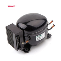 DC 12v 24v Mini Réfrigérateur Compresseur ZH65G R134a