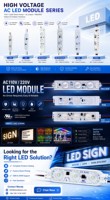 Module LED AC haute tension Rgbic à installation facile et haute luminosité, AC110V 220V, 75 pieds, idéal pour les parcs à thème et la décoration de fêtes
