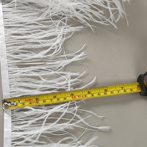 Bán Sỉ Trang Trí Lông Vũ Tua Rua Lông Đà Điểu Trang Trí 10-15 <span class=keywords><strong>Cm</strong></span> Để Làm Trang Phục/Ren/Trang Phục - Product Image 5