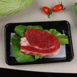 Tampon absorbant l'humidité biodégradable et écologique (8 ml/pièce 160x70 mm) pour plateaux de viande, de volaille et de fruits - Product Image 2