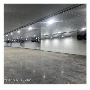 Fabricants <span class=keywords><strong>de</strong></span> chambres froides pour poissons, entrepôts frigorifiques, 100 tonnes, OEM/ODM - Product Image 3