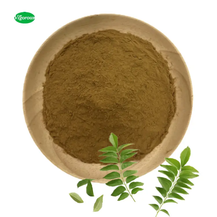 Polvere di estratto di foglie di curry puro al 100% ISO biologico