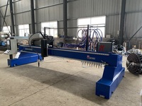 Machine de découpe de plaque métallique CNC à portique Remax 2060